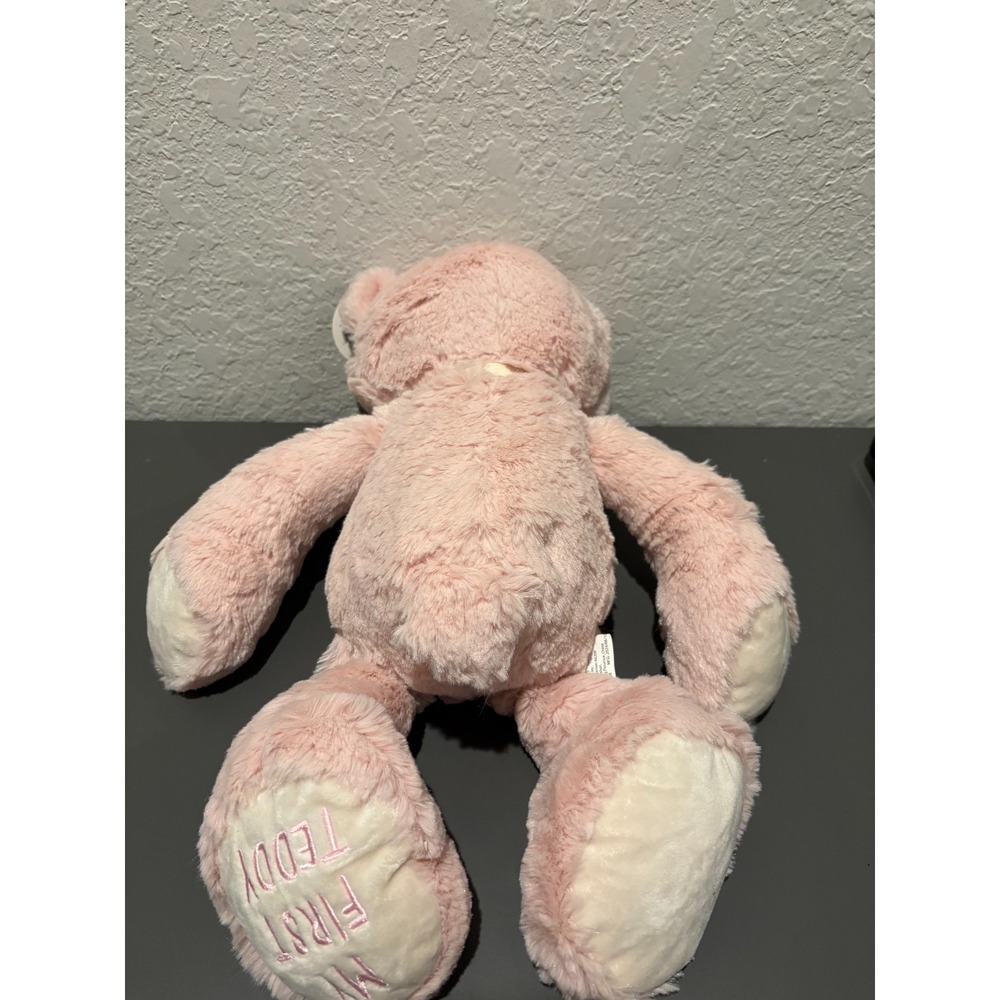 NWT DEMDACO "My First Teddy Bear" Pink 16" Plush Stuffed Animal Baby Shower Gift - Picture 7 of 11